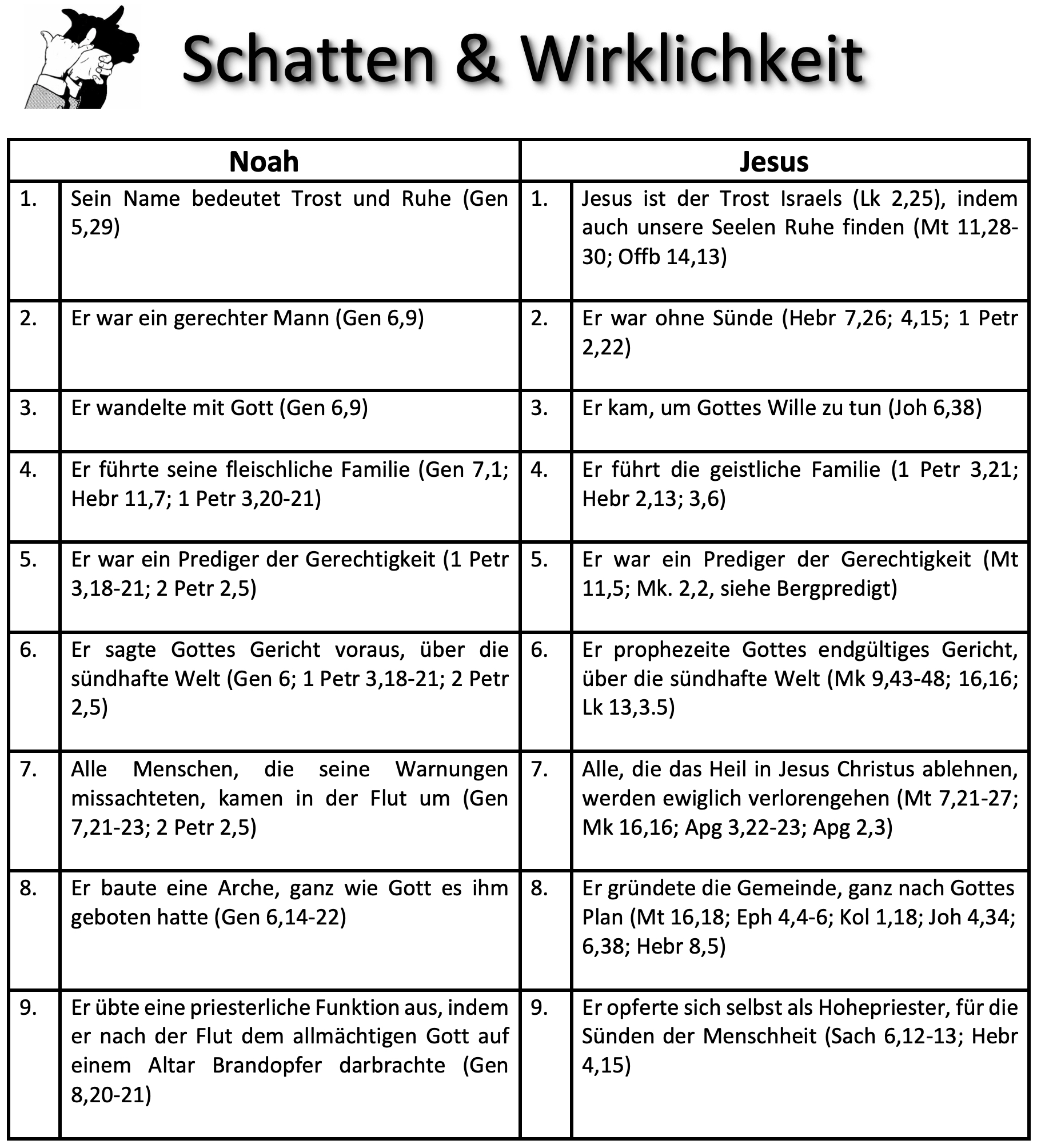 schatten02b cut